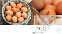 CDR FoodLab CHOLESTEROL ON EGGS Test Kit 